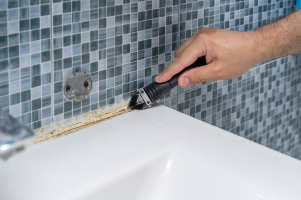 Pageland, SC Mold Removal Company