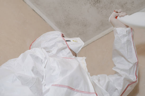 Water Damage Restoration in Pageland, SC
